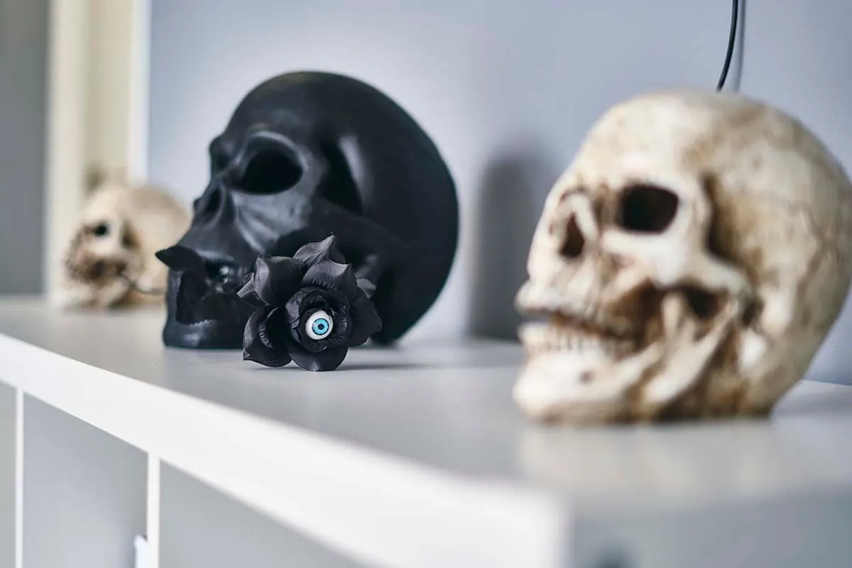Studio details